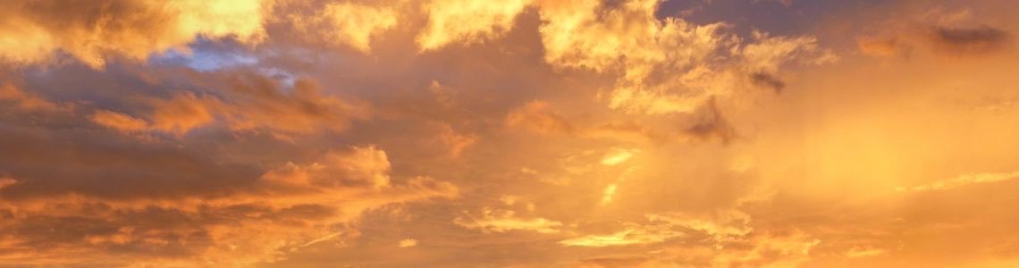 JiminRobins's profile banner image