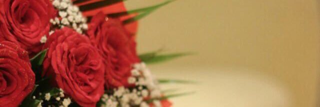 halloo_500's profile banner image