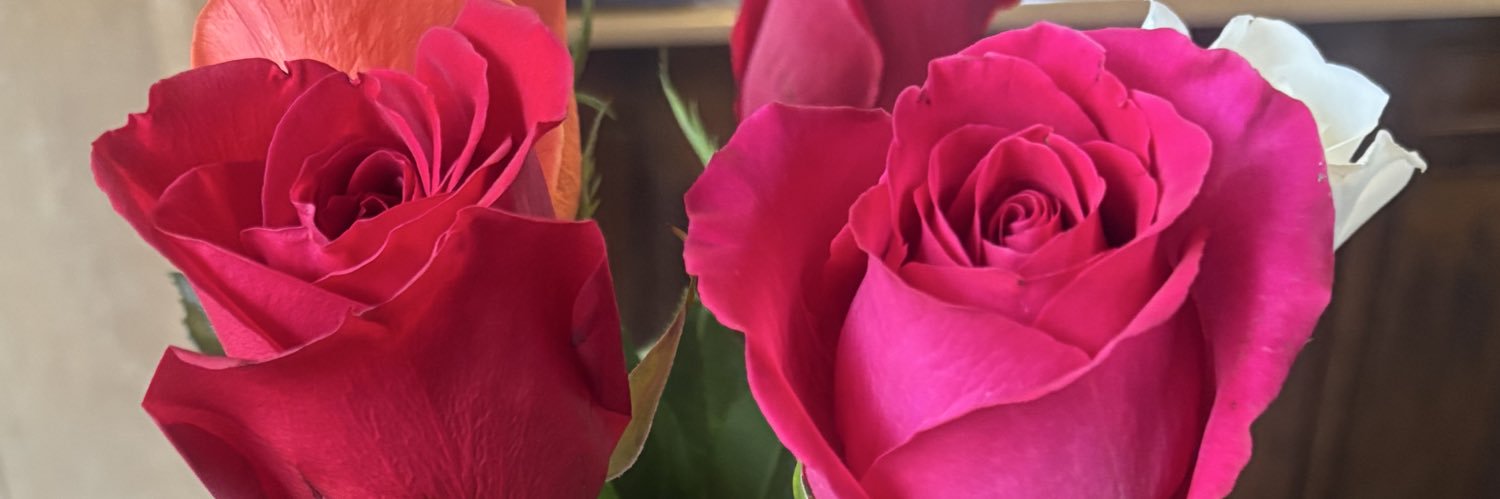 balencialee's profile banner image