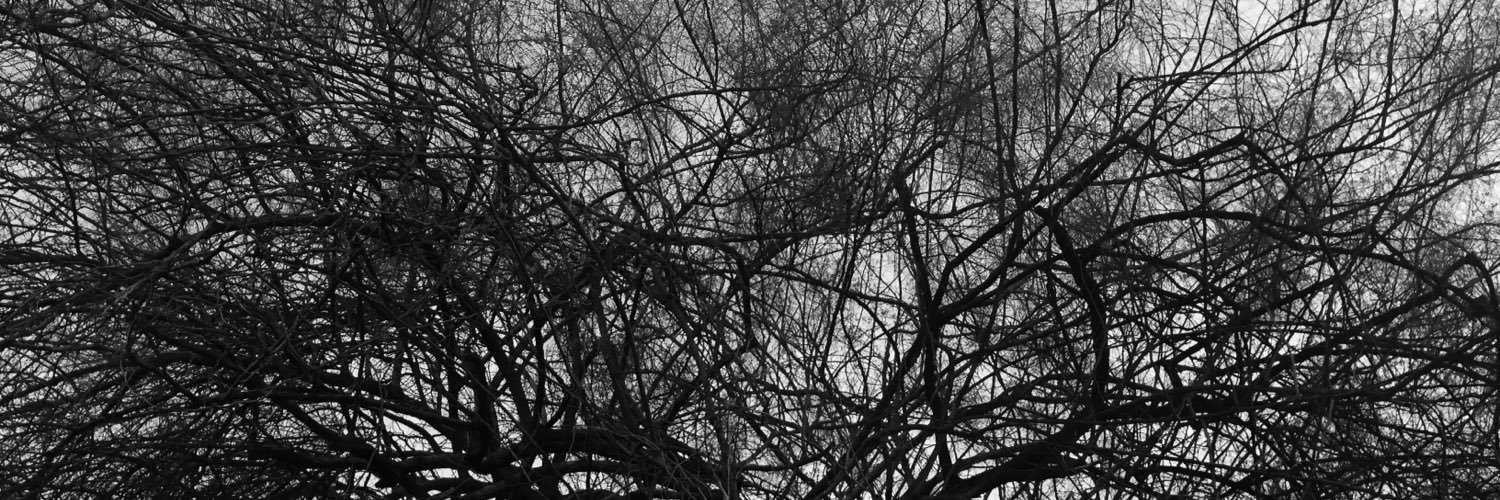 lib3lula_'s profile banner image