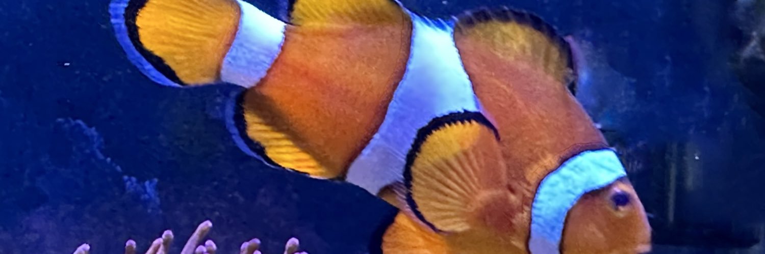 kavetheman's profile banner image