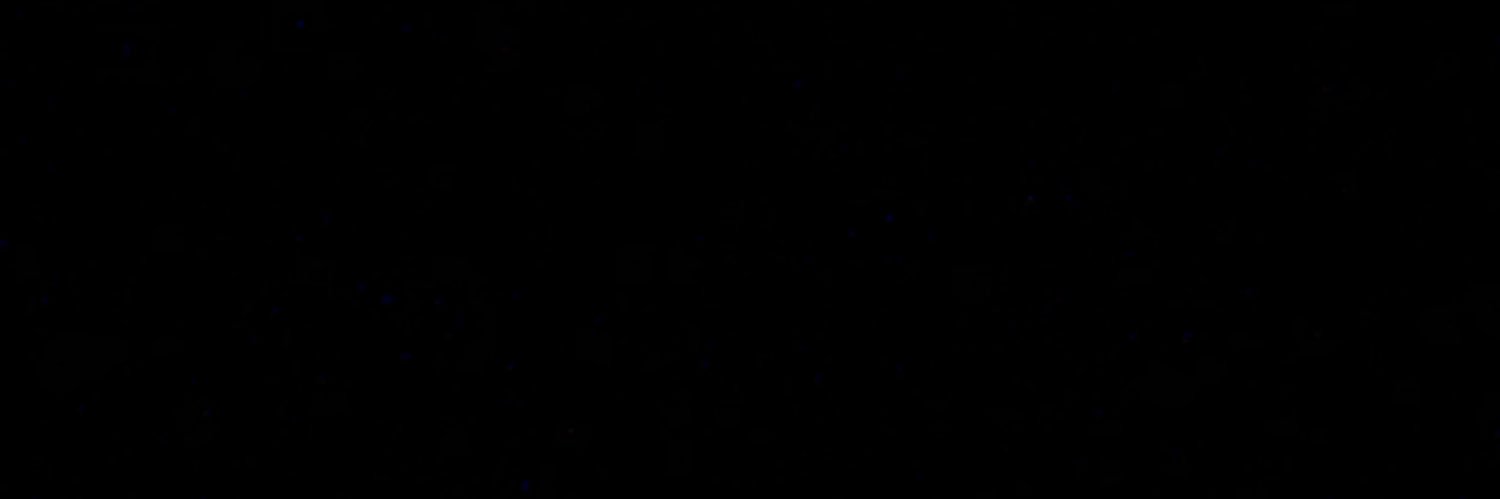 mehsinfakih's profile banner image