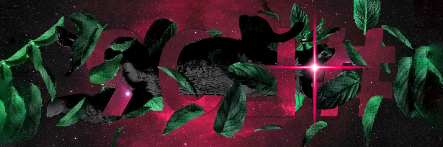 StryangeFox's profile banner image