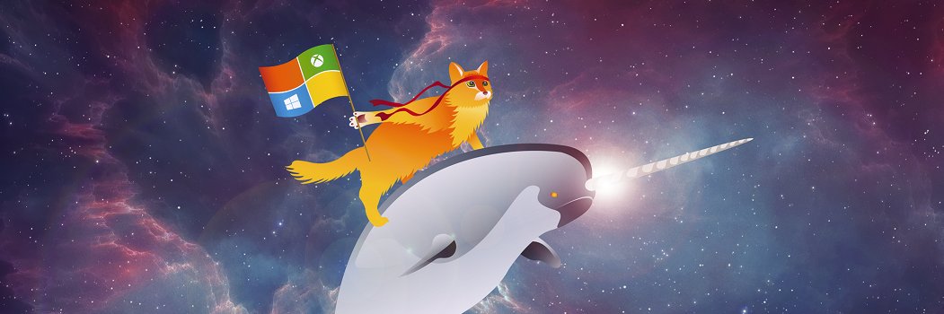 Microsoft Developers banner