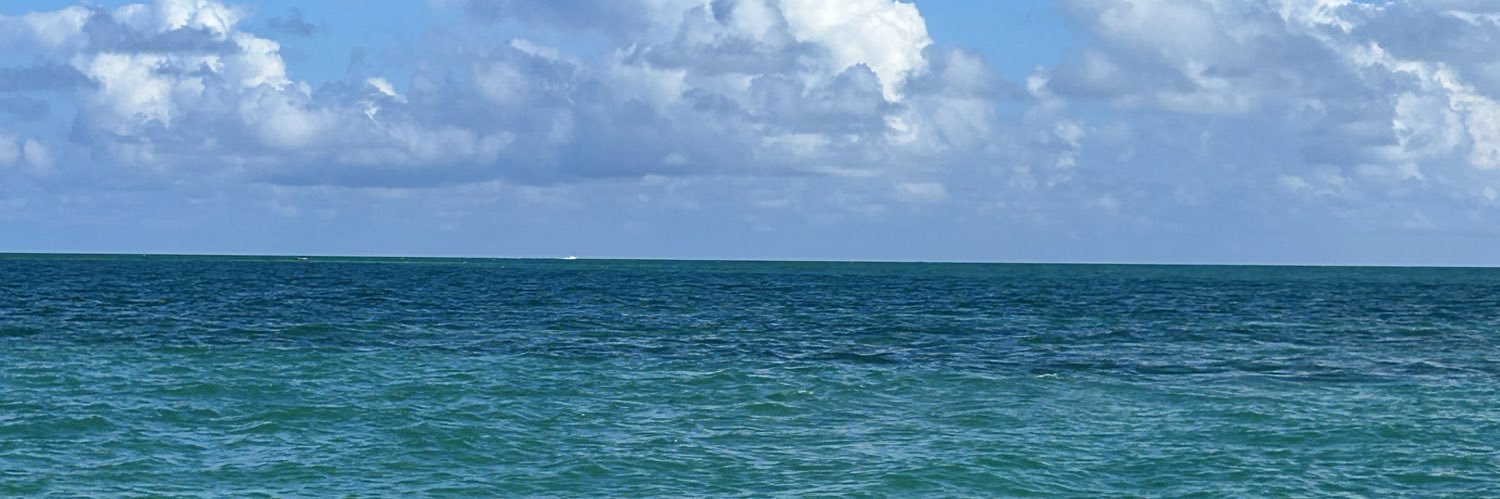 EvandroGodinho's profile banner image