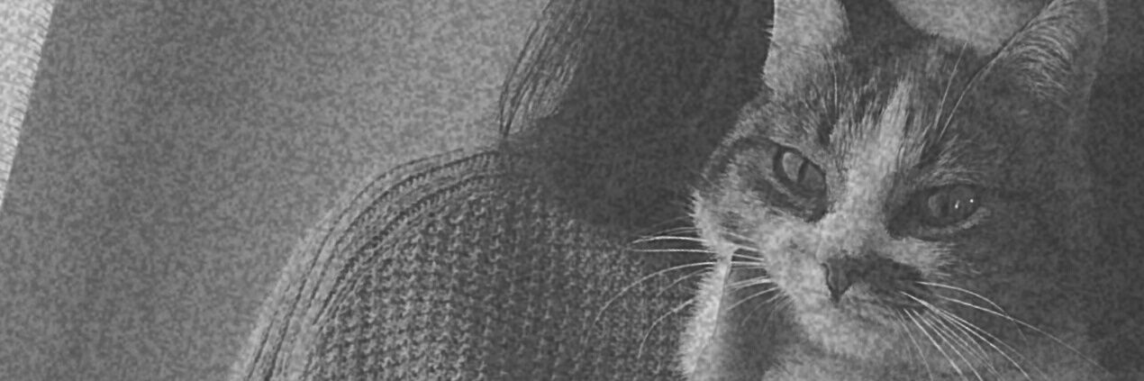 ppilarponce's profile banner image