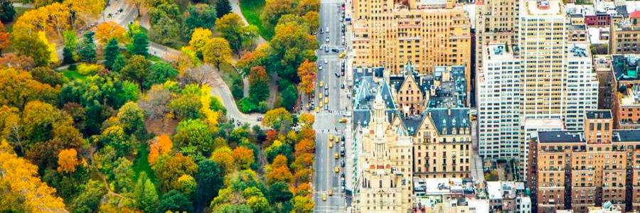 Vincent Ferrera banner