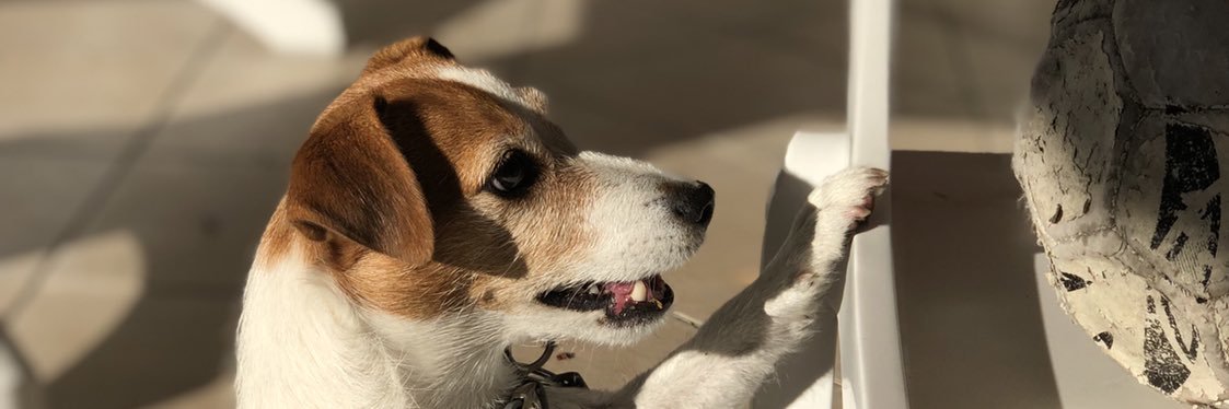 msluchetti's profile banner image