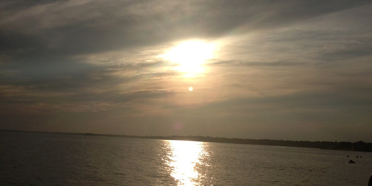 Lynns_World1's profile banner image