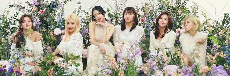 lizapark91's profile banner image