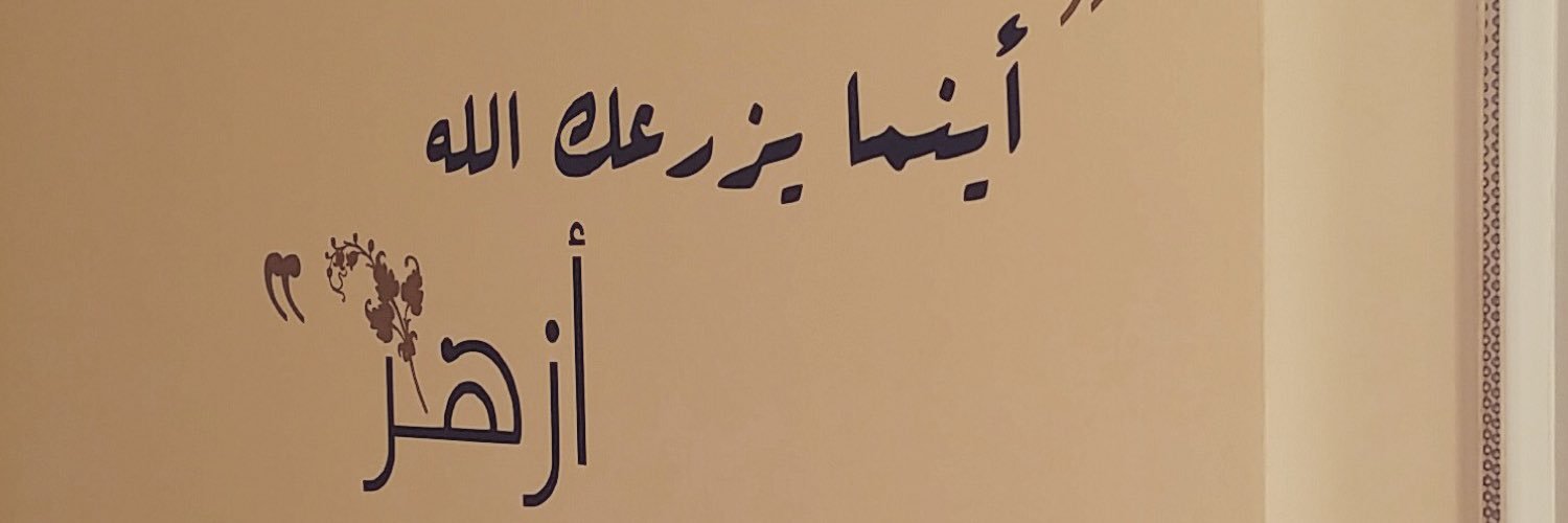 haifa711's profile banner image