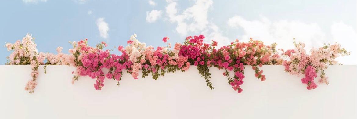 Stoff_L's profile banner image