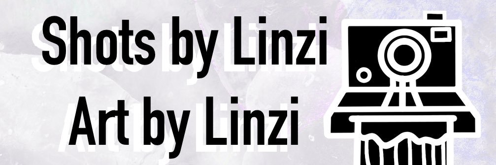 linnnzi's profile banner image