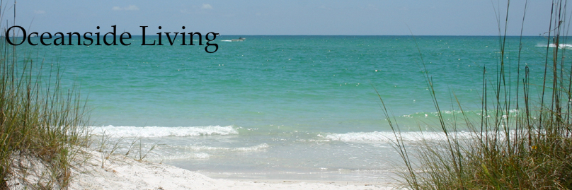 DonWidmayer's profile banner image