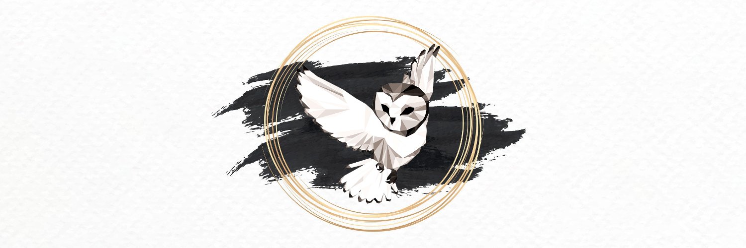 Owly_CS's profile banner image