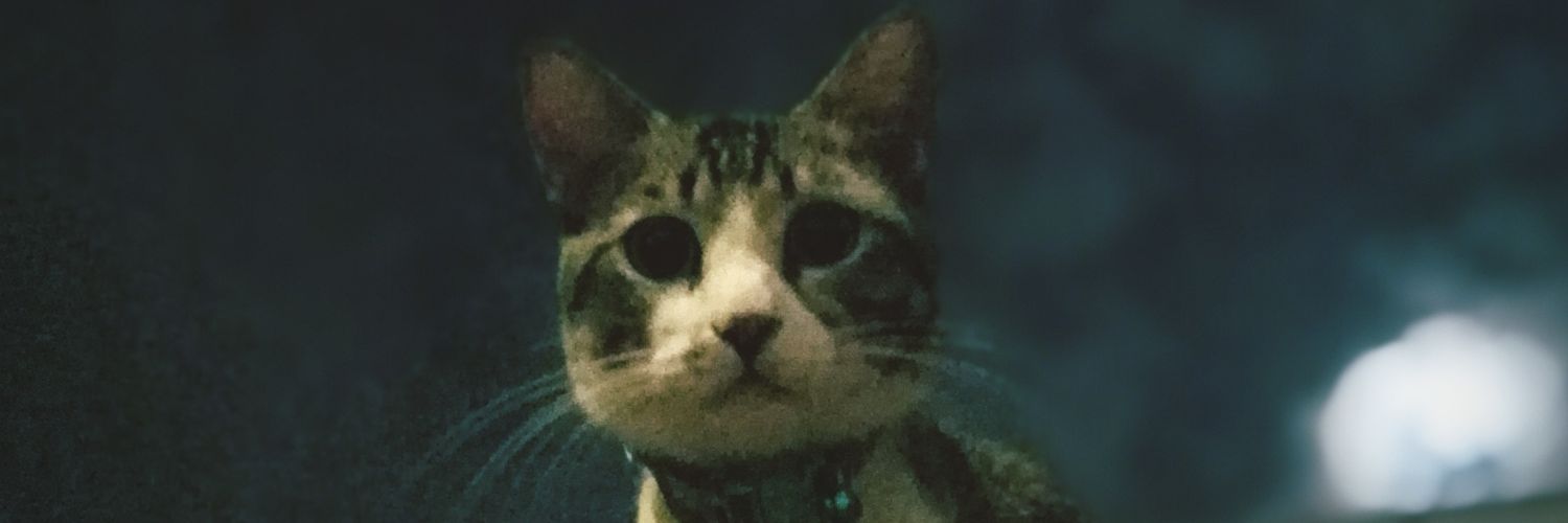 fikrisaim90's profile banner image
