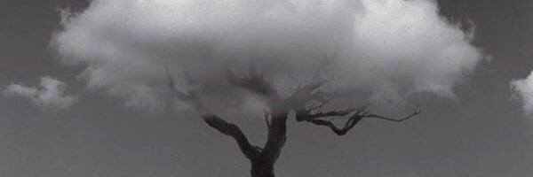 kaaleedra's profile banner image