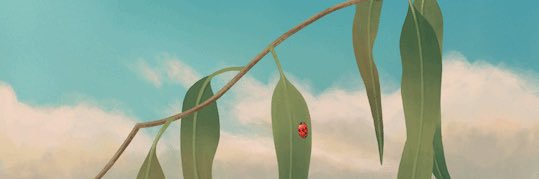 LudwigWang01's profile banner image