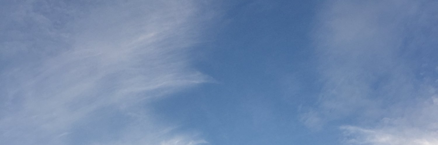 Casey Li banner