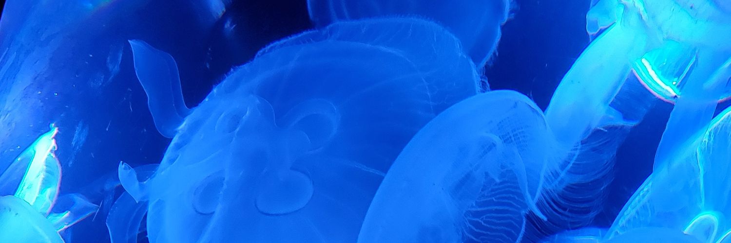 55781224amnos's profile banner image