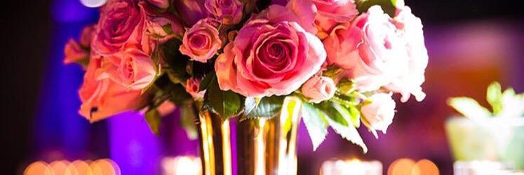 AmandaNottonson's profile banner image