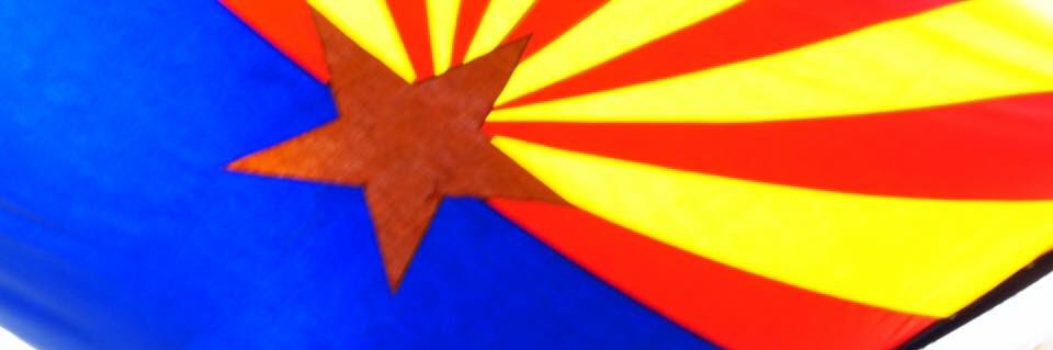 AflacAz_EV's profile banner image