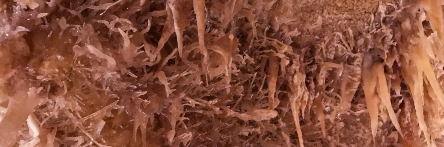UTGrotto's profile banner image
