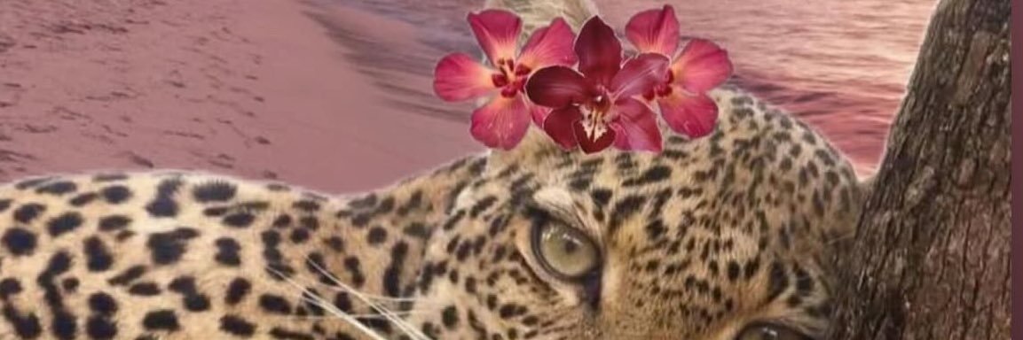 kaylahstoneeeee's profile banner image
