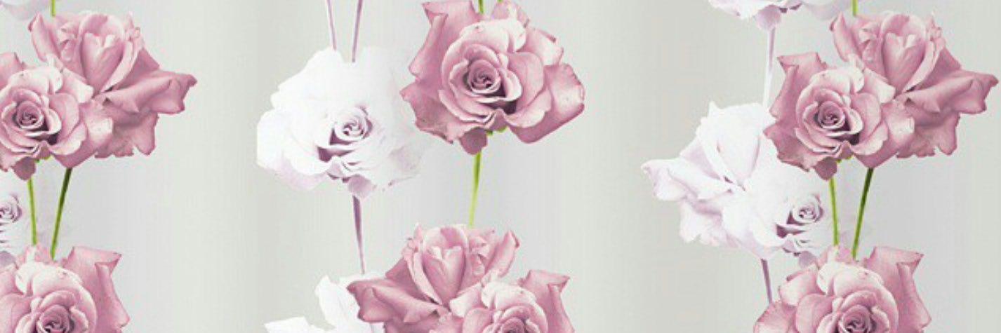 soomasa's profile banner image