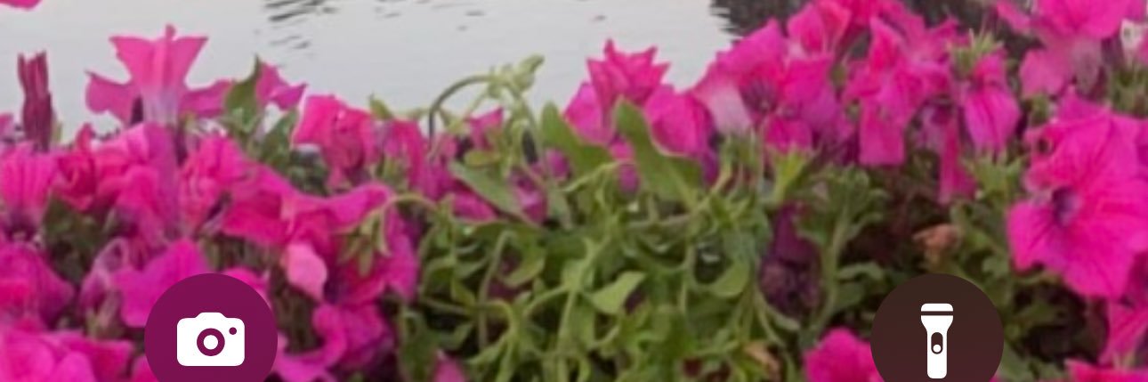 joj11228's profile banner image