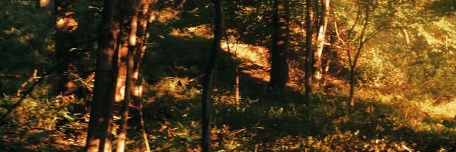 ‎بنت كشير banner