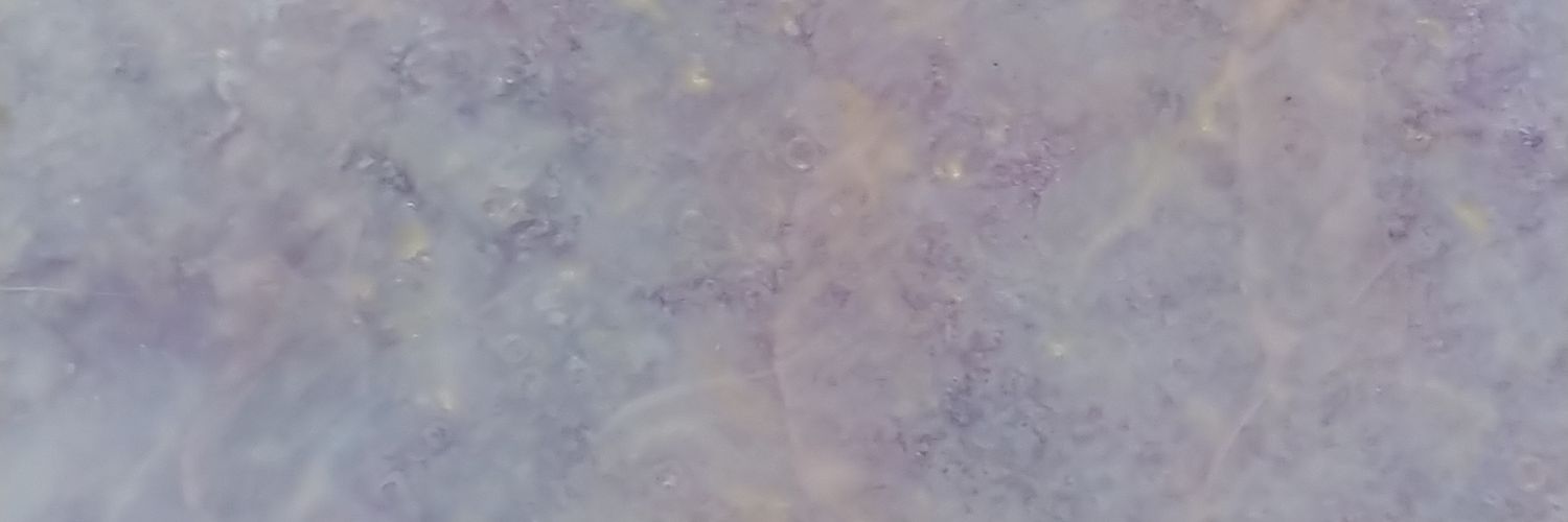 haaa_00s2's profile banner image