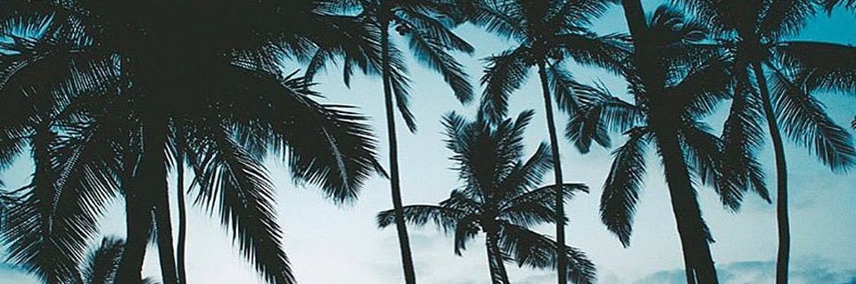 kasaaihamo's profile banner image