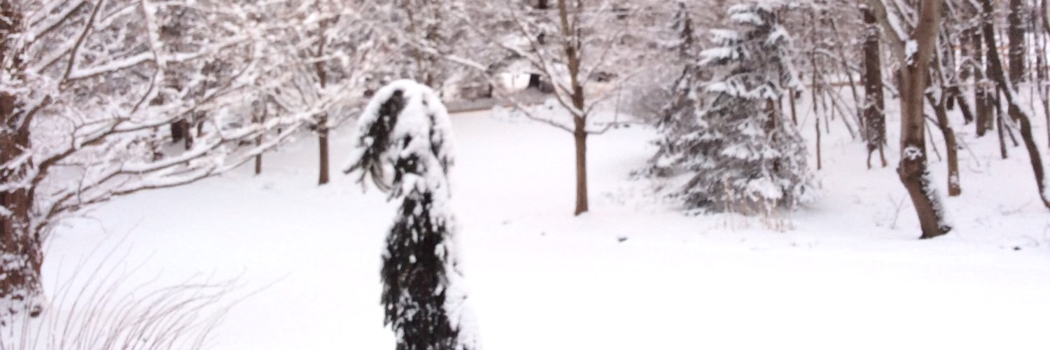 Eyebin Phartin banner