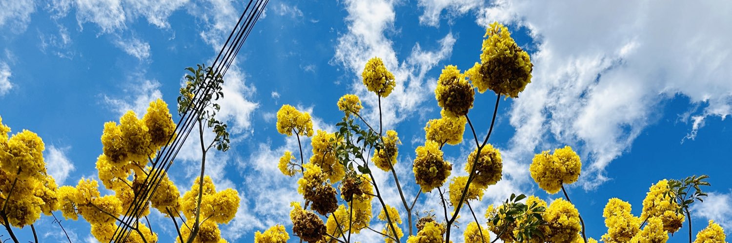 Vbarchfield's profile banner image