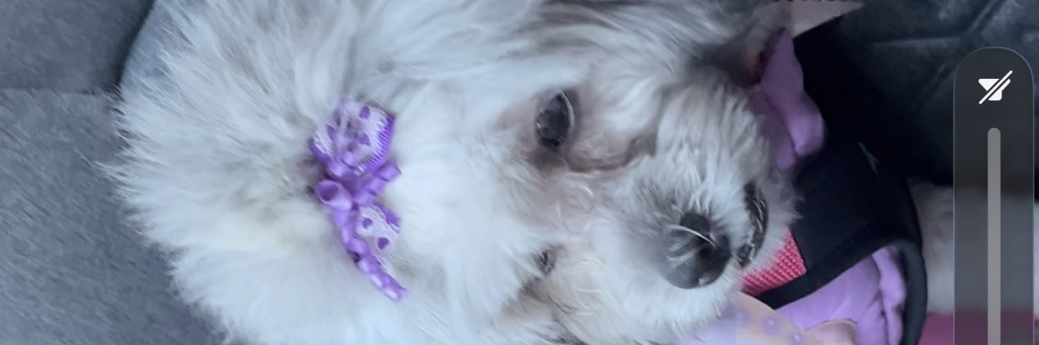 BalanceAnne2_0's profile banner image