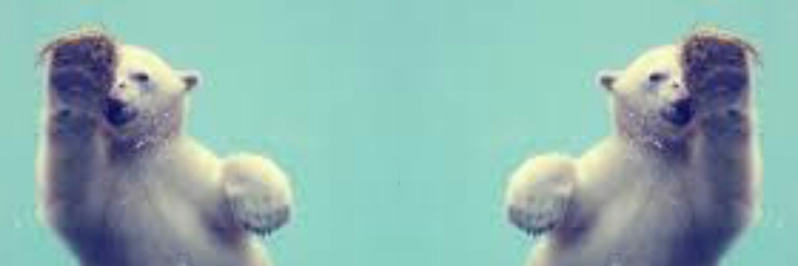 kitty_boo0o's profile banner image