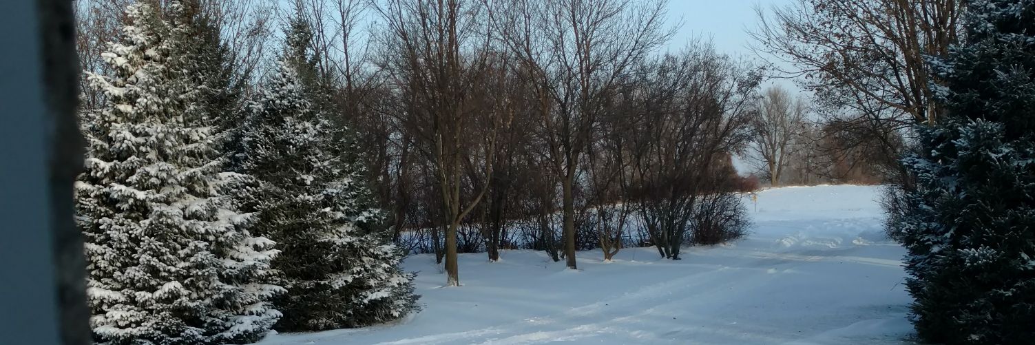 BredesonMark's profile banner image