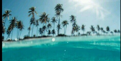 Rociito_cc's profile banner image
