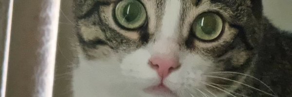 alextable Profile Banner