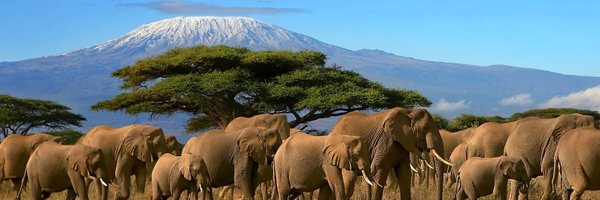 mattwruff Profile Banner