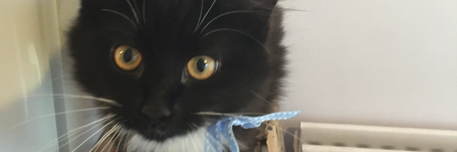 rastacrumble's profile banner image