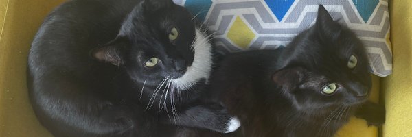 jonathandjenner Profile Banner