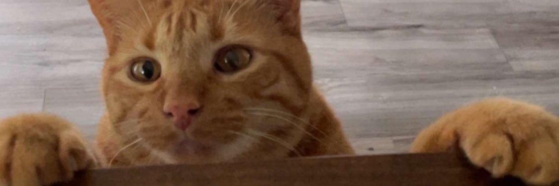 SefferDaHeffer's profile banner image