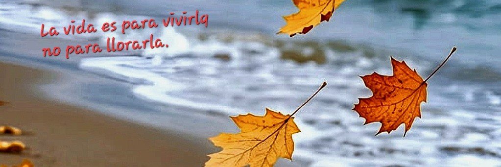 Constan54062405's profile banner image