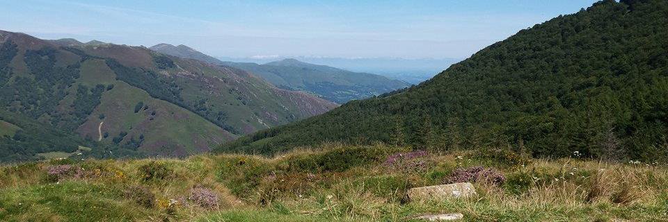 Camino de Santiago banner