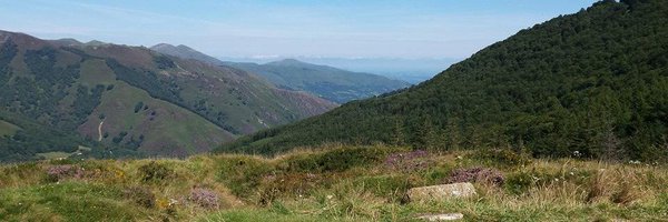 QuintaEstrada Profile Banner