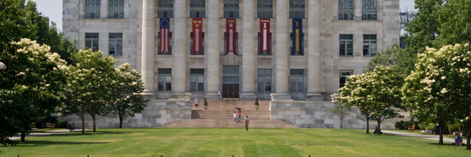 Arash Mostaghimi banner