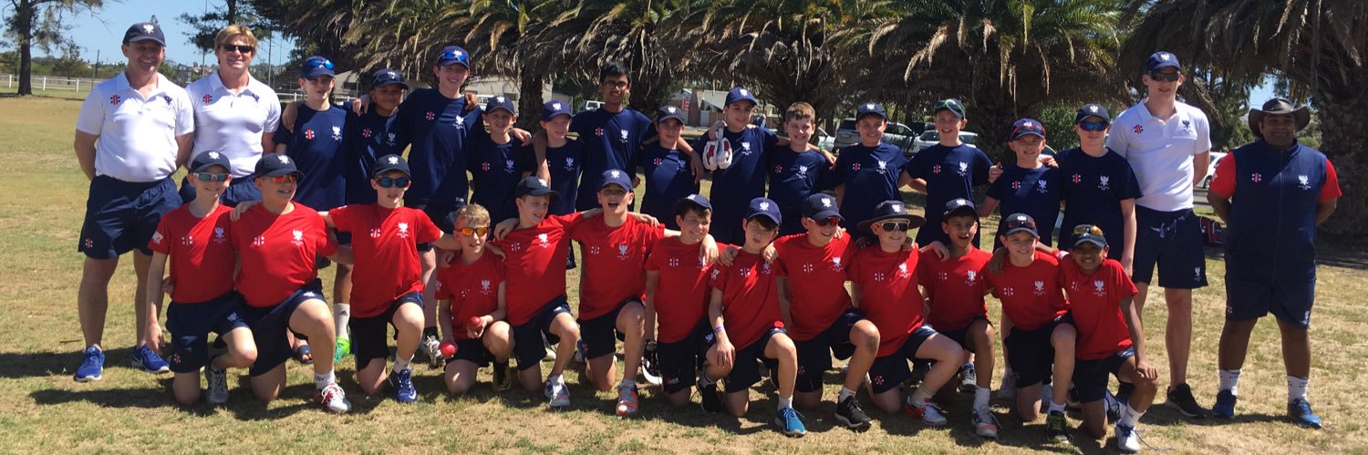 BPSCricket's profile banner image
