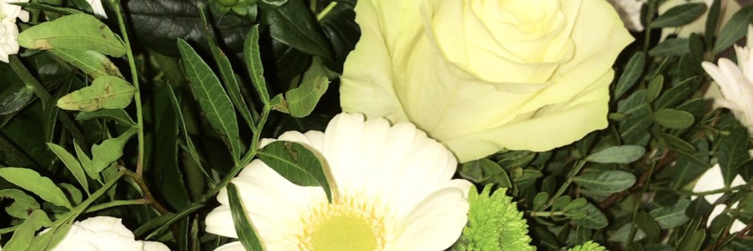 OxSaira's profile banner image